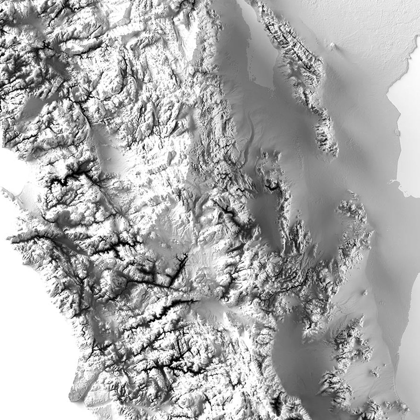 Baja California Elevation Map