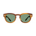 Barton Perreira Demarco - Umber Tortoise / Silver / Bottle Green (AR)