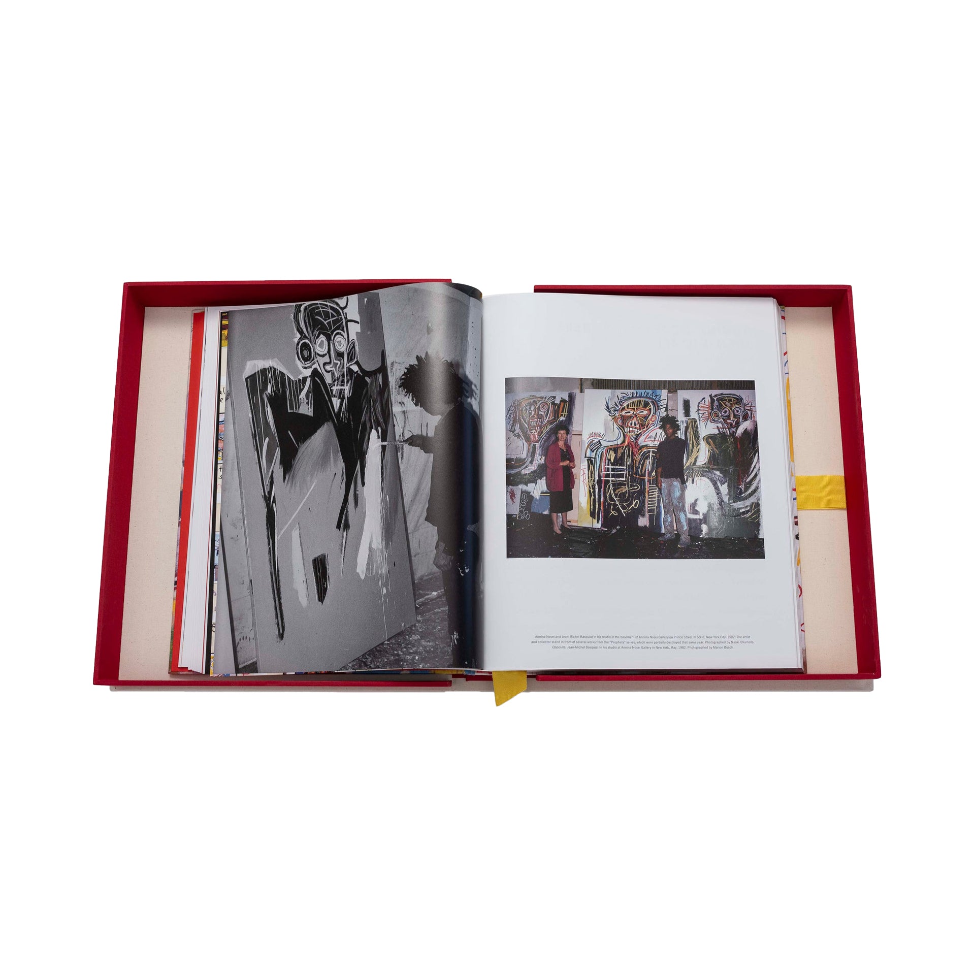Basquiat: The World of Jean-Michel