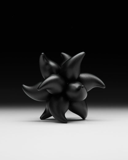 Craighill Andromeda Puzzle