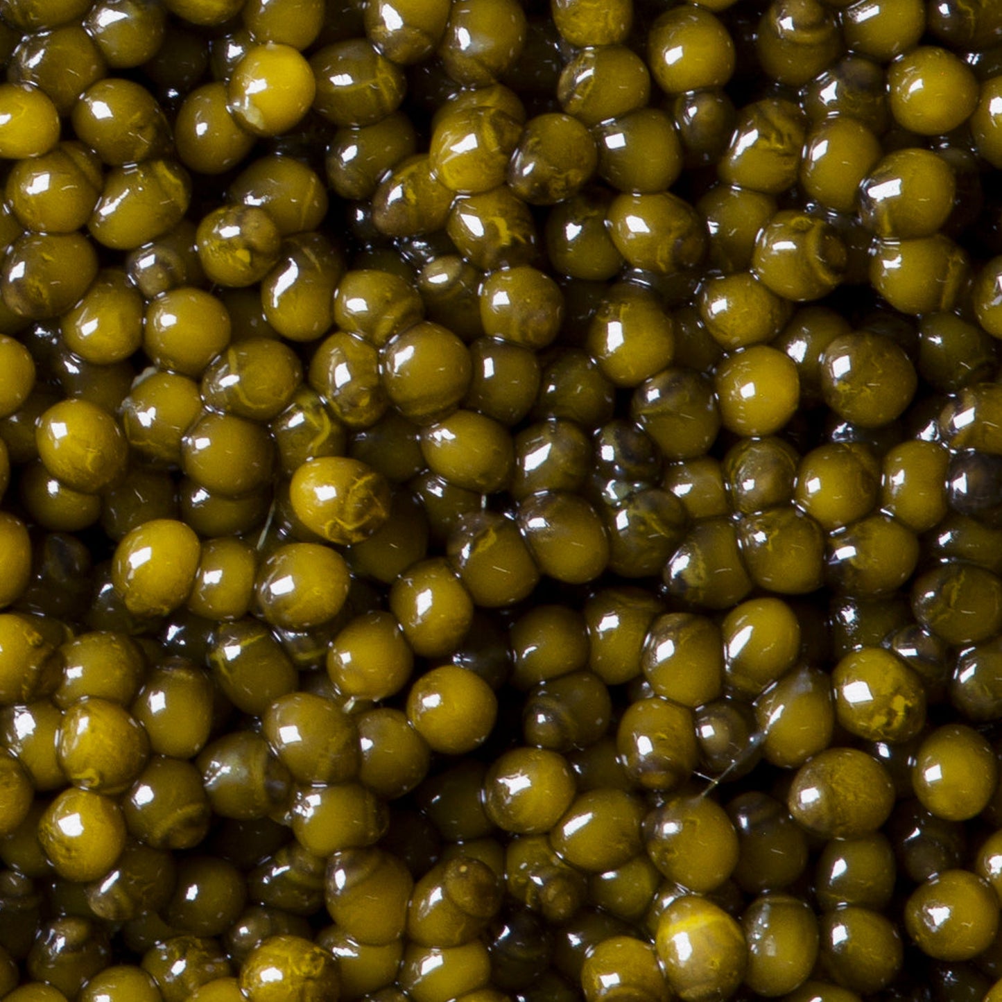 Regalis Amber Kaluga Caviar