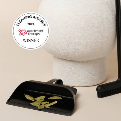 Dotti Odyssey Broom & Dustpan