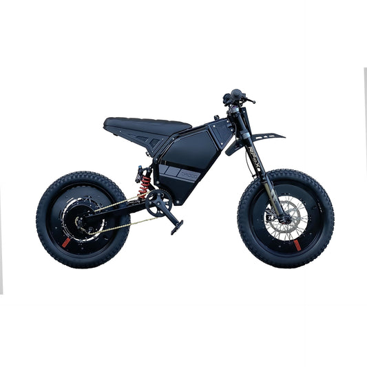 Droog Moto Stealth Fighter Electric Bike