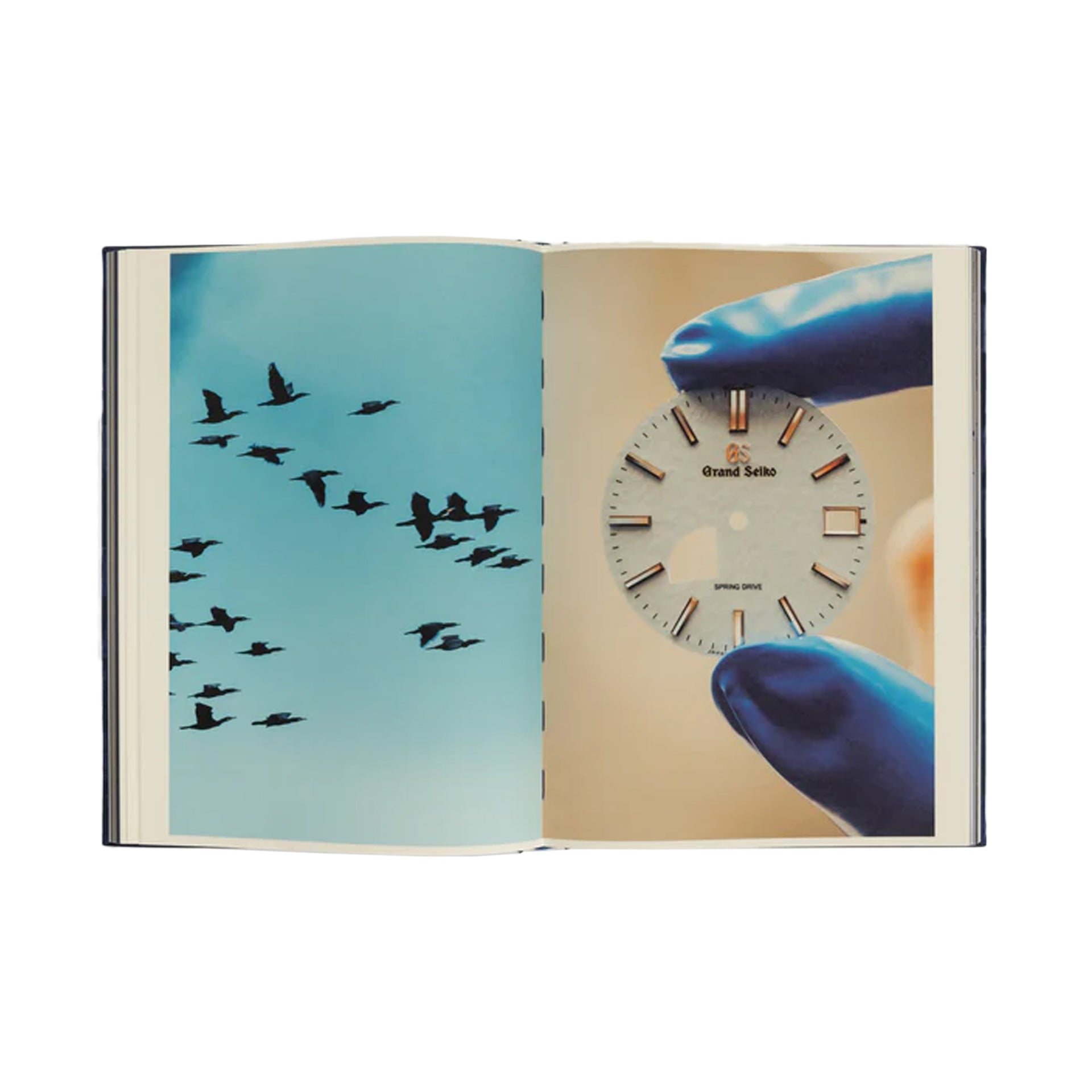 Grand Seiko: The History of Japan's Finest Watchmaker | Uncrate Supply