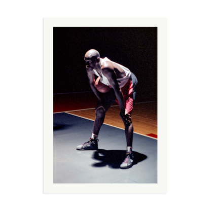 Hare Jordan Framed Print Print Only XXL