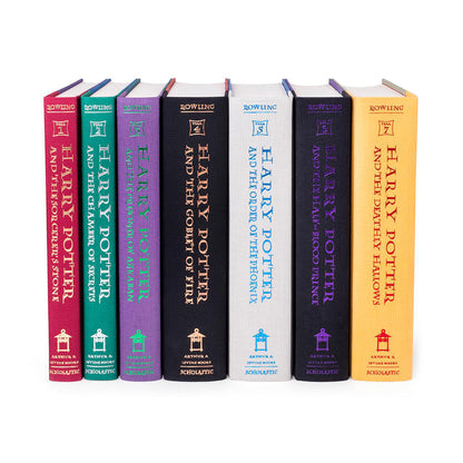 Harry Potter by J.K. Rowling Train Book Set