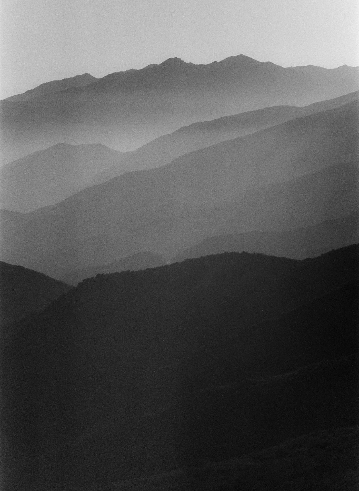 imogene + willie Hayes Washed Pearl Snap Shirt