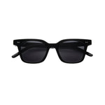 AKILA Hi-Fi Sunlgasses - Black / Black