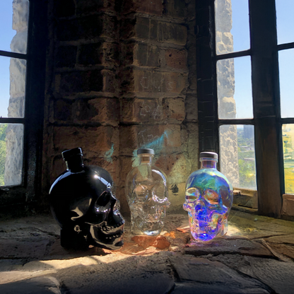 Crystal Head Vodka Set