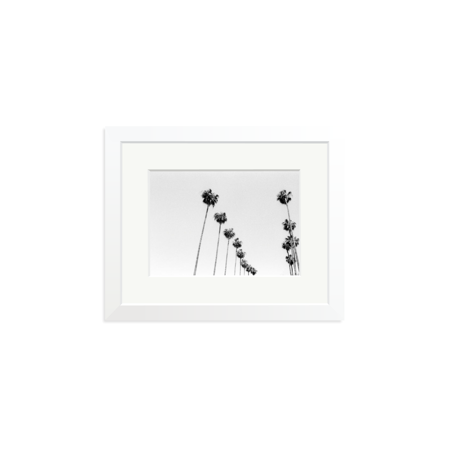 LA Palms Framed Print
