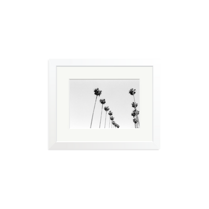 LA Palms Framed Print White Small