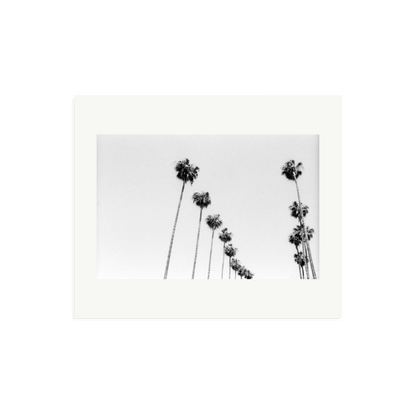 LA Palms Framed Print Print Only Large