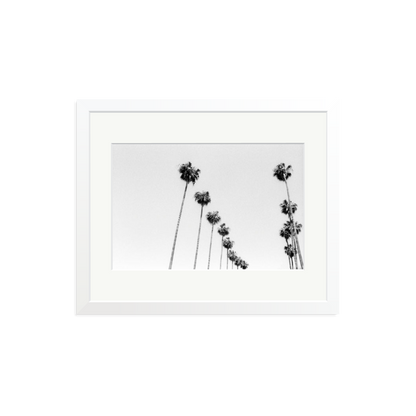 LA Palms Framed Print White Medium