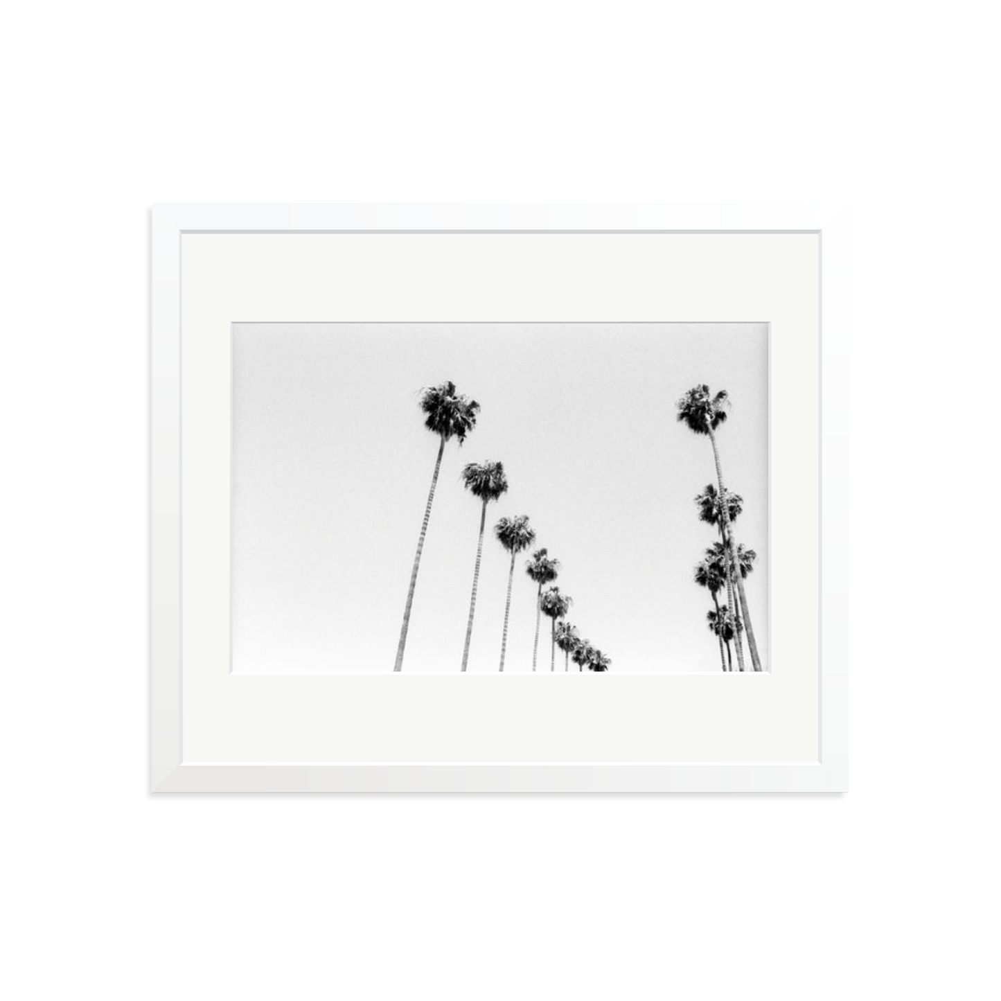 LA Palms Framed Print