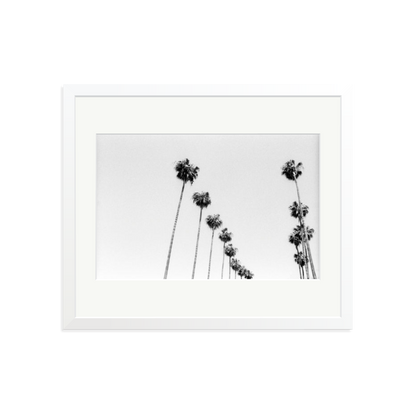 LA Palms Framed Print White Large