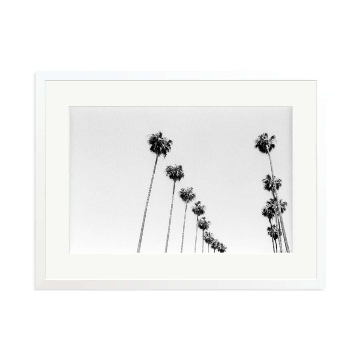 LA Palms Framed Print