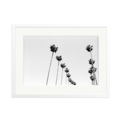 LA Palms Framed Print White XL