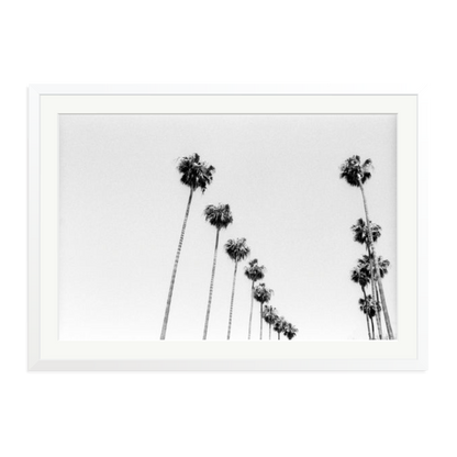 LA Palms Framed Print White XXL