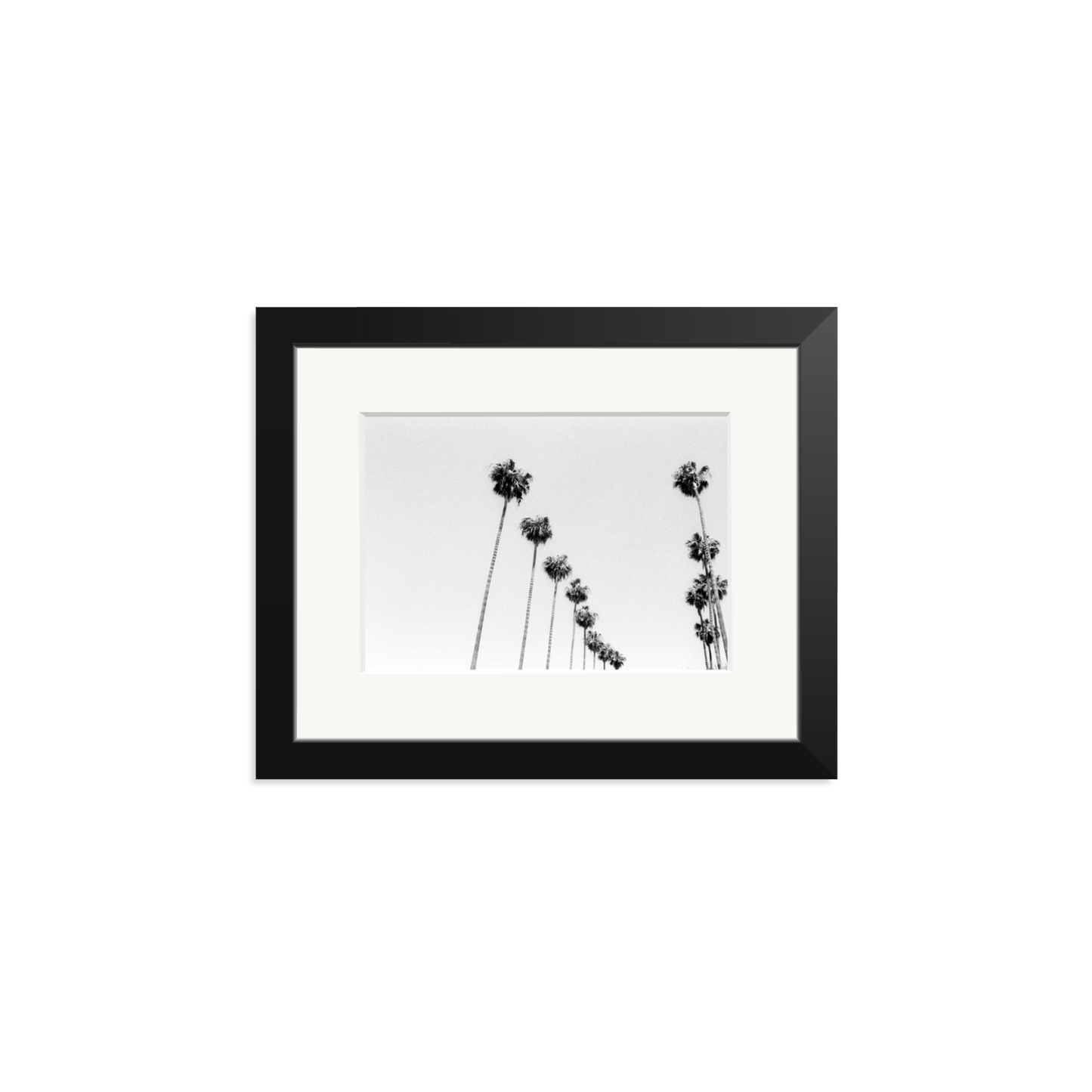 LA Palms Framed Print