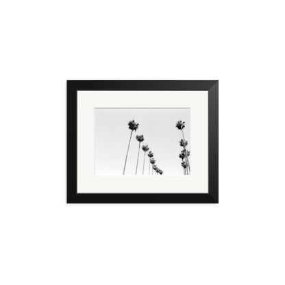 LA Palms Framed Print Black Small
