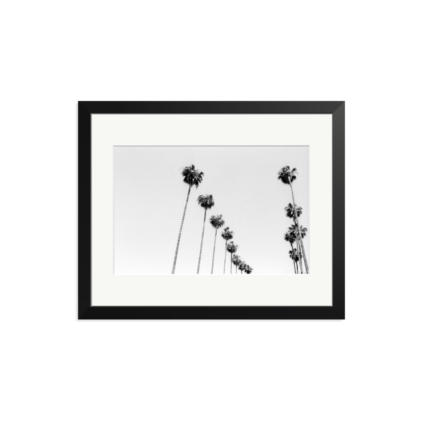 LA Palms Framed Print
