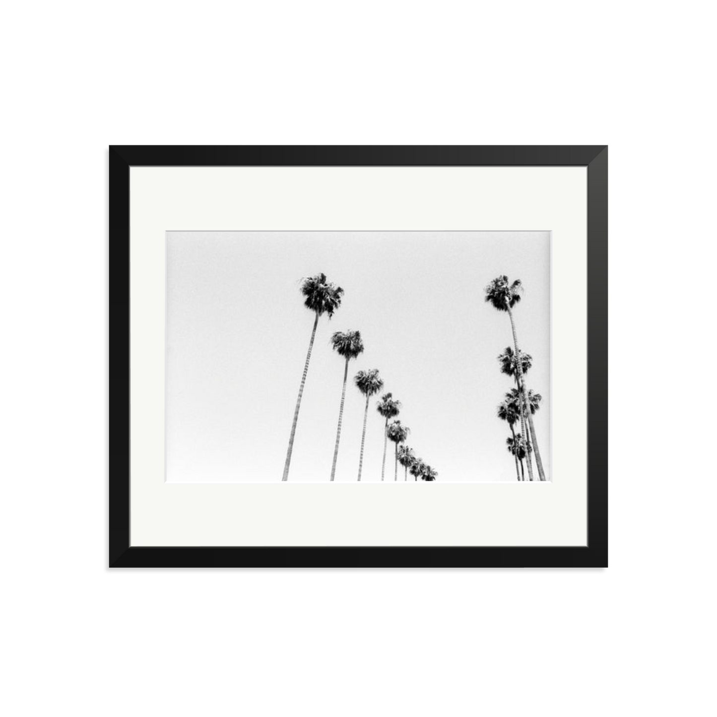 LA Palms Framed Print