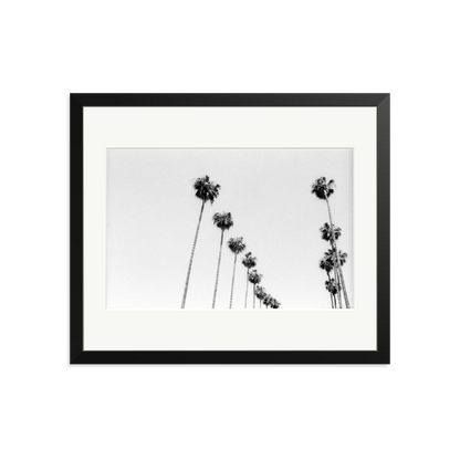 LA Palms Framed Print Black Large