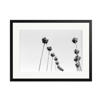 LA Palms Framed Print Black XL