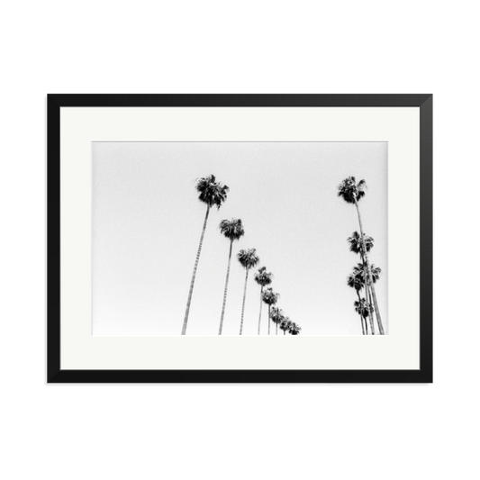 LA Palms Framed Print