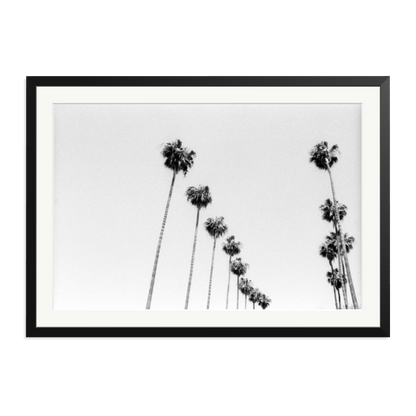 LA Palms Framed Print Black XXL