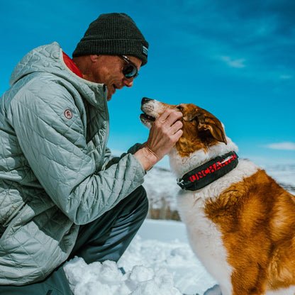 Uncharted Supply The Wolf Pack First Aid Dog Collar