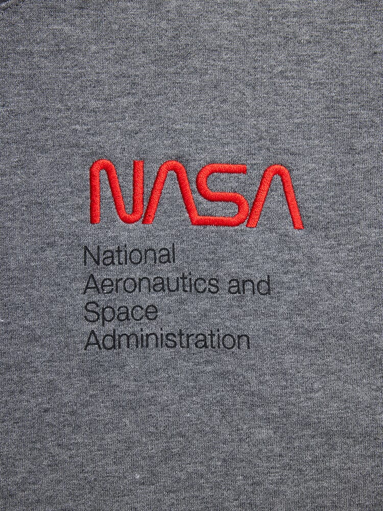 ALPHA INDUSTRIES NASA WORM LOGO HOODIE