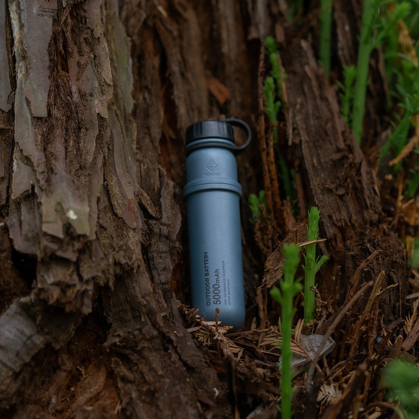 Nestout 5000mAh Power Bank