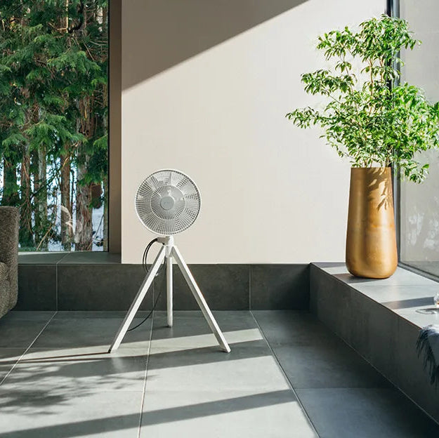 Balmuda NatureWind Studio Fan