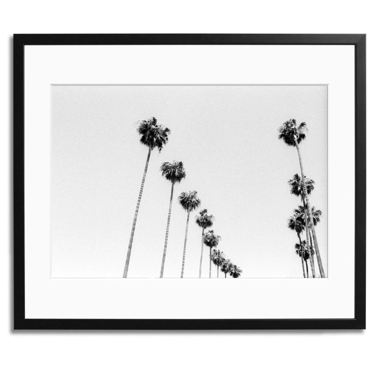 LA Palms Framed Print