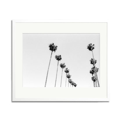 LA Palms Framed Print