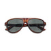 Oliver Peoples x Paul Newman Sunglasses - Dark Amber Smoke Acetate