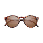 SUNSKI Dipsea Sunglasses - Tortoise Amber