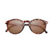 SUNSKI Dipsea Sunglasses - Tortoise Amber