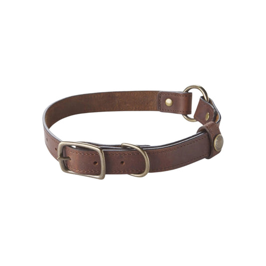 Tom Beckbe Leather Dog Collar