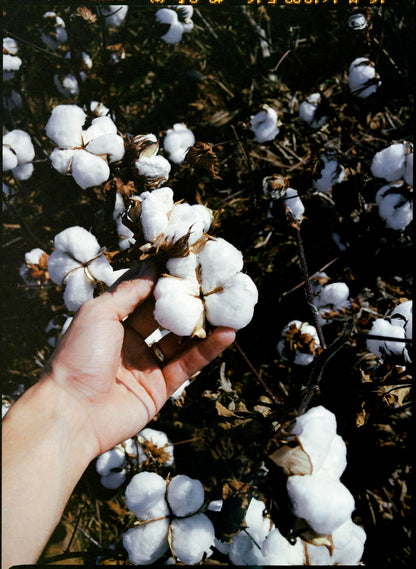 hencye natural indigo