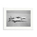 Douglas Airplanes 1954 Framed Print - White
