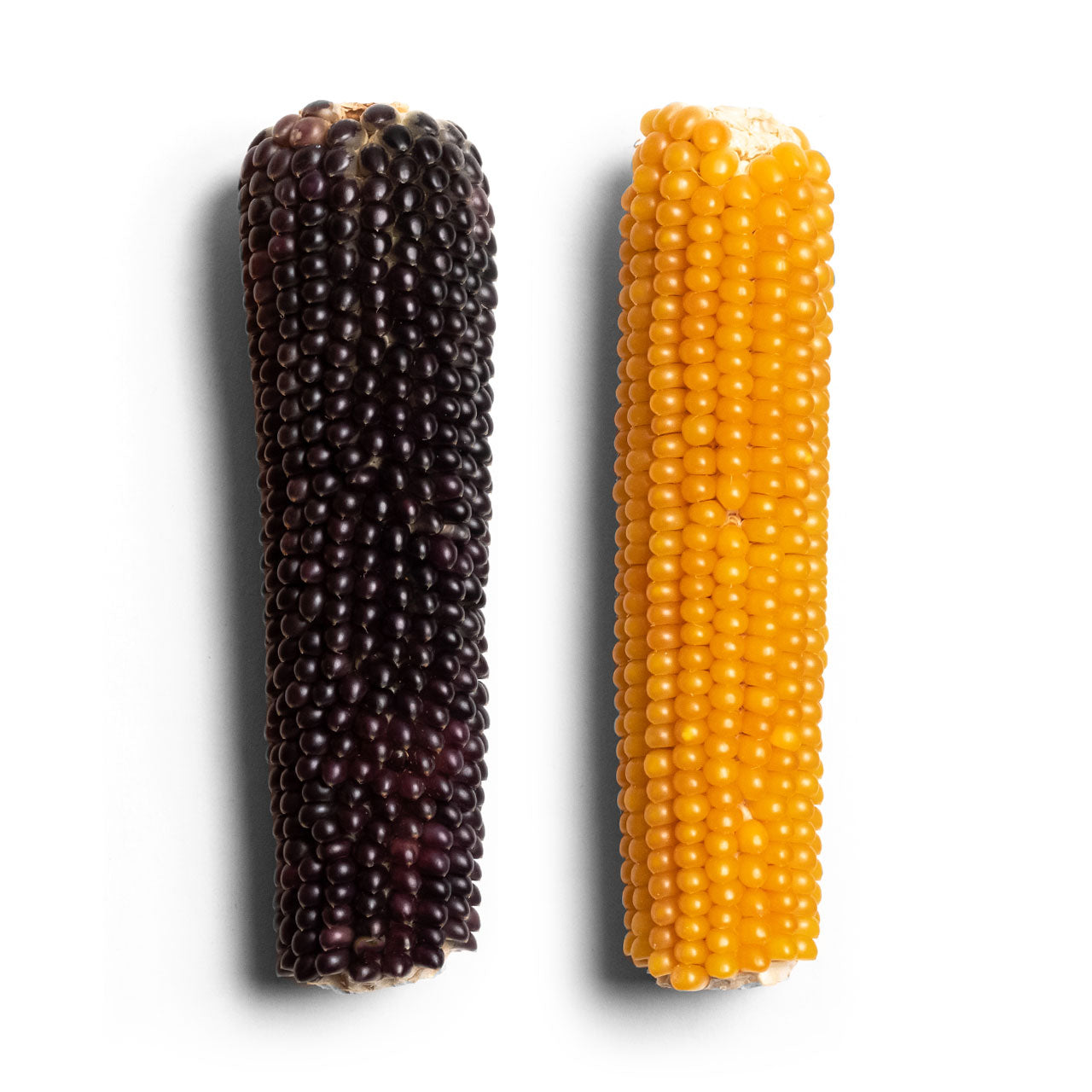 https://shop.uncrate.com/cdn/shop/products/petersens-microwavable-corn-cob-7.jpg?v=1622123417&width=1445