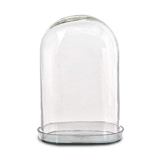 Glass Dome Display Case