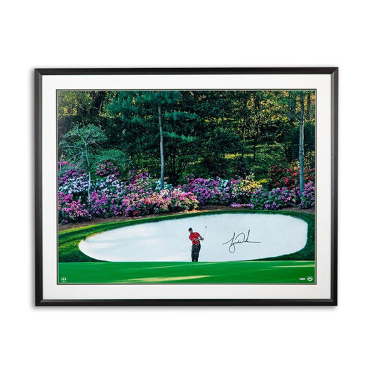 Tiger Woods Azalea Autographed Framed Print